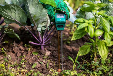 Top Smart Soil Moisture Sensors 